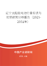 遼寧太陽(yáng)能電池行業(yè)現(xiàn)狀與前景趨勢(shì)分析報(bào)告（2025-2031年）
