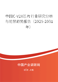 中國C-V2X芯片行業(yè)研究分析與前景趨勢報(bào)告（2025-2031年）