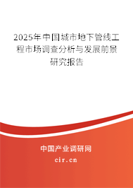 2025年中國城市地下管線工程市場調查分析與發展前景研究報告