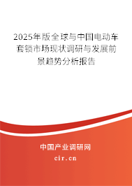 2025年版全球與中國電動車套鎖市場現狀調研與發展前景趨勢分析報告