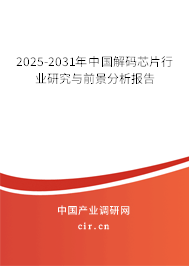 2024-2030年中國解碼芯片行業研究與前景分析報告