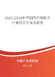 2025-2031年中國內(nèi)六角扳手行業(yè)研究與發(fā)展趨勢