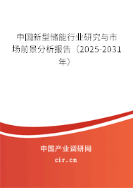 中國新型儲能行業研究與市場前景分析報告（2025-2031年）