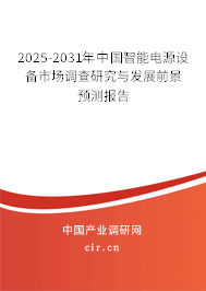 2025-2031年中國智能電源設備市場調查研究與發展前景預測報告