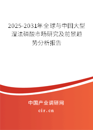 2025-2031年全球與中國大型濕法磷酸市場研究及前景趨勢分析報告