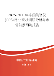 2025-2031年中國能譜儀(EDS)行業現狀調研分析與市場前景預測報告