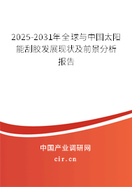 2024-2030年全球與中國太陽能刮膠發展現狀及前景分析報告