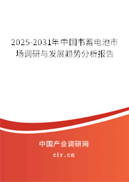 2025-2031年中國書蓄電池市場調研與發展趨勢分析報告