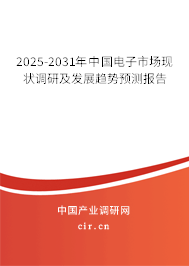 2025-2031年中國電子市場現狀調研及發展趨勢預測報告