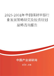 2025-2031年中國煤制甲醇行業發展策略研究及投資規劃戰略咨詢報告