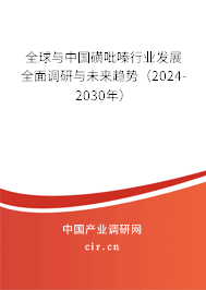 全球與中國磺吡嗪行業發展全面調研與未來趨勢（2024-2030年）