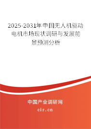 2025-2031年中國無人機驅動電機市場現狀調研與發展前景預測分析