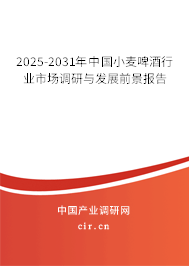 2024-2030年中國小麥啤酒行業市場調研與發展前景報告