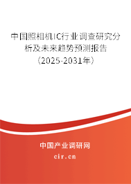 中國照相機IC行業調查研究分析及未來趨勢預測報告（2025-2031年）