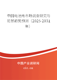 中國電池片市場調查研究與前景趨勢預測（2025-2031年）