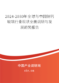 2024-2030年全球與中國鈉鈣玻璃行業(yè)現(xiàn)狀全面調(diào)研與發(fā)展趨勢報告