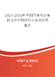 2024-2030年中國汽車電動車窗馬達市場研究與發展前景報告