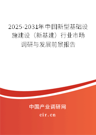 2025-2031年中國新型基礎設施建設（新基建）行業市場調研與發展前景報告