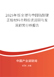 2025年版全球與中國鈷酸鋰正極材料市場現狀調研與發展趨勢分析報告