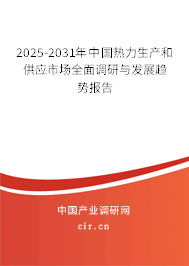 2023-2029年中國熱力生產和供應市場全面調研與發展趨勢報告