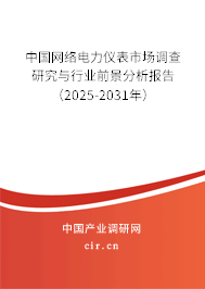 中國網(wǎng)絡(luò)電力儀表市場調(diào)查研究與行業(yè)前景分析報(bào)告（2024-2030年）