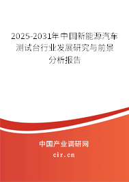 2025-2031年中國(guó)新能源汽車測(cè)試臺(tái)行業(yè)發(fā)展研究與前景分析報(bào)告