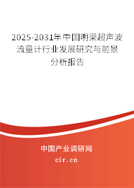 2025-2031年中國明渠超聲波流量計行業發展研究與前景分析報告
