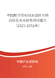 中國(guó)數(shù)字照相機(jī)關(guān)鍵件市場(chǎng)調(diào)研及未來趨勢(shì)預(yù)測(cè)報(bào)告（2025-2031年）