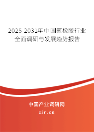 2025-2031年中國氟橡膠行業全面調研與發展趨勢報告