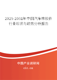 2025-2031年中國汽車橡膠件行業現狀與趨勢分析報告