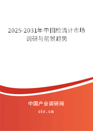 2025-2030年中國檢流計市場調研與前景趨勢