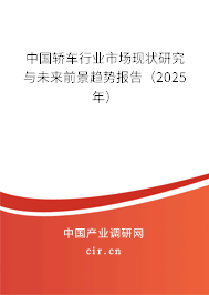 中國轎車行業市場現狀研究與未來前景趨勢報告（2025年）