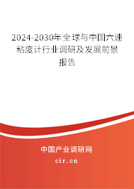 2024-2030年全球與中國六速粘度計行業調研及發展前景報告