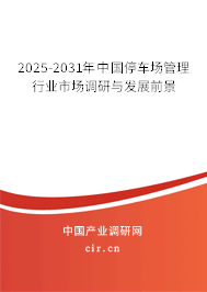 2025-2031年中國(guó)停車場(chǎng)管理行業(yè)市場(chǎng)調(diào)研與發(fā)展前景
