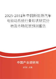 2025-2031年中國新能源汽車電驅(qū)動系統(tǒng)行業(yè)現(xiàn)狀研究分析及市場前景預(yù)測報告