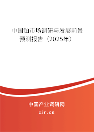 中國鉑市場調研與發展前景預測報告（2025年）