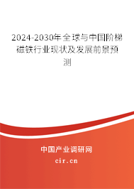2024-2030年全球與中國階梯磁鐵行業(yè)現(xiàn)狀及發(fā)展前景預(yù)測