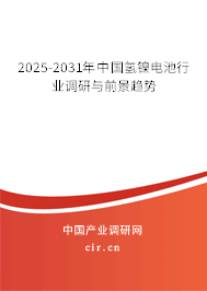 2025-2031年中國氫鎳電池行業(yè)調(diào)研與前景趨勢