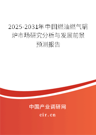 2025-2031年中國燃油燃氣鍋爐市場研究分析與發(fā)展前景預測報告