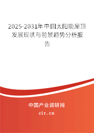 2025-2031年中國太陽能屋頂發(fā)展現(xiàn)狀與前景趨勢分析報告