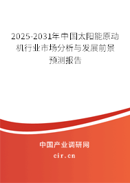 2025-2031年中國太陽能原動機行業市場分析與發展前景預測報告