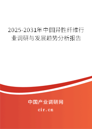 2024-2030年中國異性纖維行業調研與發展趨勢分析報告