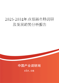 2025-2031年點煙器市場調研及發展趨勢分析報告