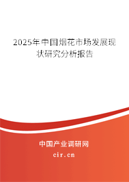 2025年中國煙花市場發展現狀研究分析報告