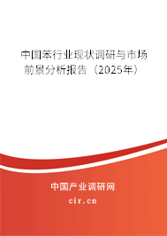 中國苯行業現狀調研與市場前景分析報告（2025年）