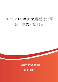 2025-2031年安徽巖板行業研究與趨勢分析報告