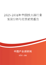 2025-2031年中國放大器行業發展分析與前景趨勢報告