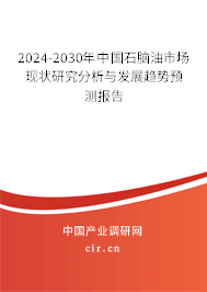 2024-2030年中國石腦油市場現狀研究分析與發展趨勢預測報告