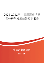 2025-2031年中國壓延市場研究分析與發(fā)展前景預(yù)測報告