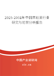 2025-2031年中國羊肚菌行業研究與前景分析報告